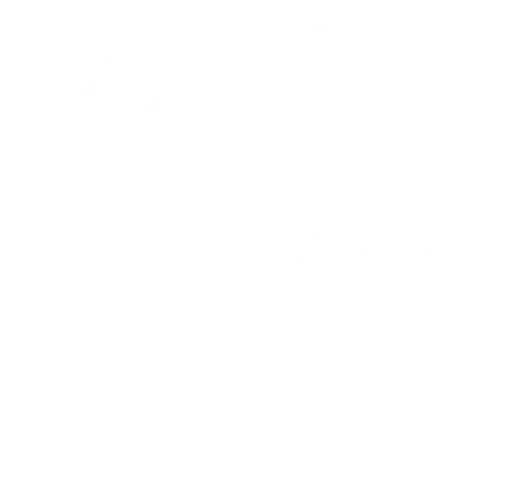 Humanops Consulting